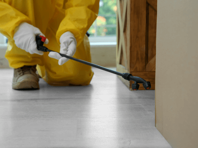 About Glenpool Termite Inspection - termite inspection experts in Glenpool